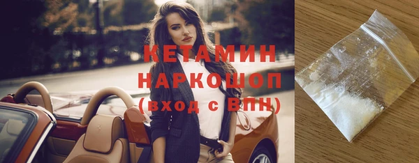 индика Гусь-Хрустальный