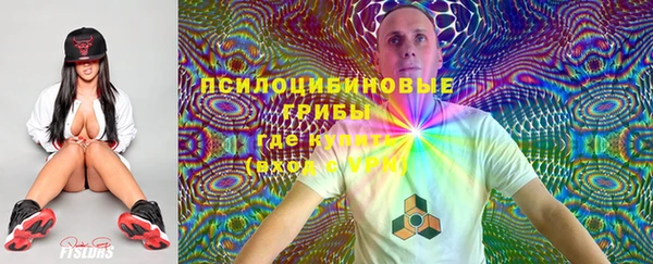 индика Гусь-Хрустальный