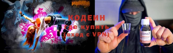 индика Гусь-Хрустальный