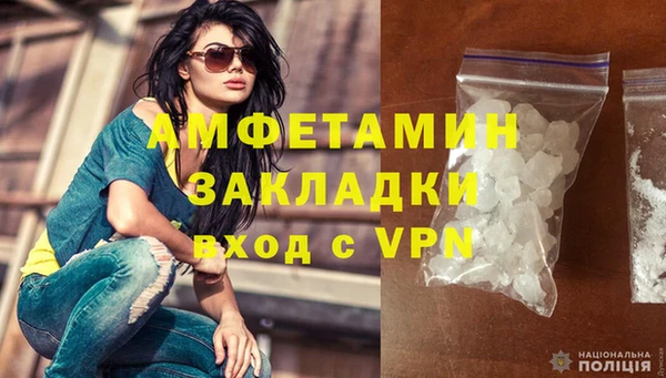 индика Гусь-Хрустальный