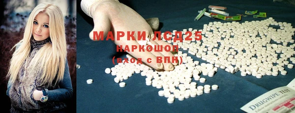 индика Гусь-Хрустальный