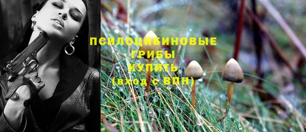 индика Гусь-Хрустальный