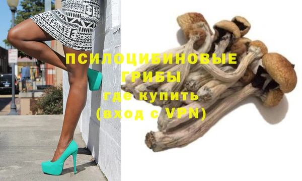 хмурый Гусиноозёрск