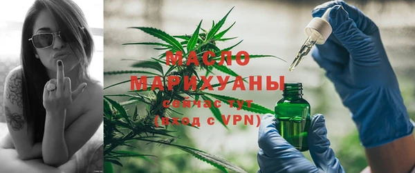 индика Гусь-Хрустальный