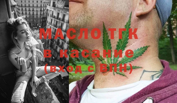 индика Гусь-Хрустальный